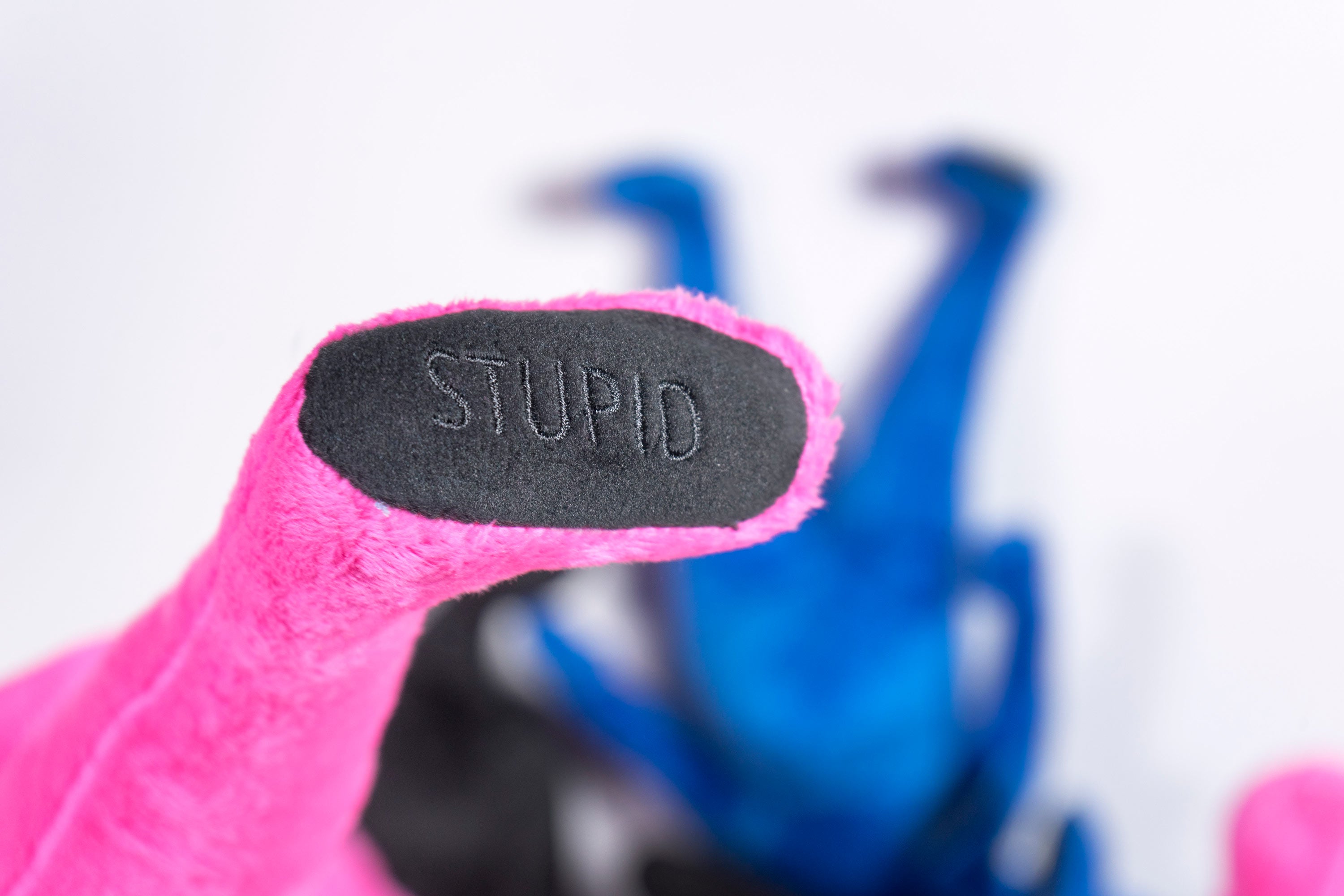 I am Stupid fluffy