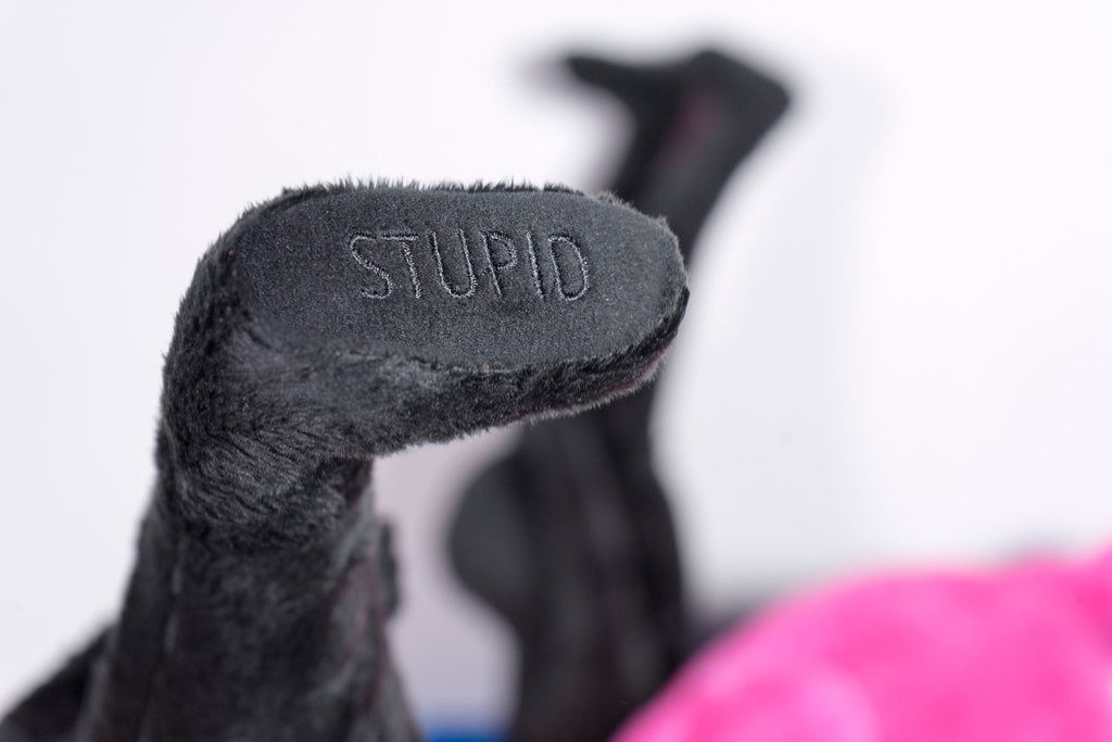 I am Stupid fluffy